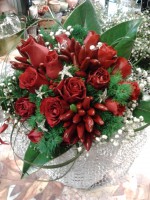 /album/galleria-foto-natale/a2011-10-07-11-56-08-jpg/